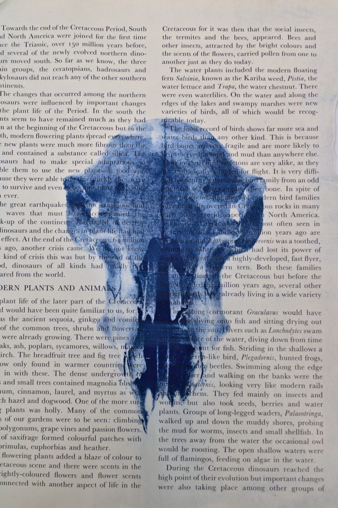Tom Stokes - Printed image of an animal skull in blue ink on a sheet of magazine type