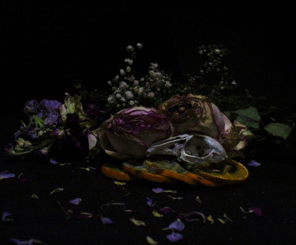 Will Murfitt - Still life image of dying flowers, mouldy orange slices and an animal skull against a black background