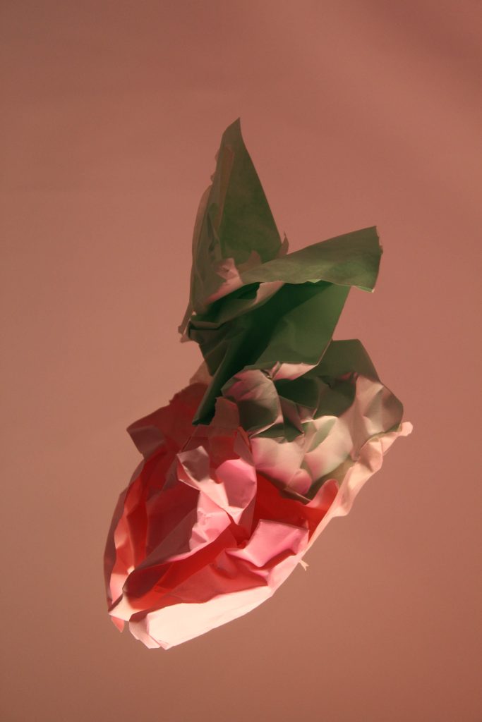 Casper Mayers - Origami paper structure resembling a bright pink berry, against a pale pink background.
