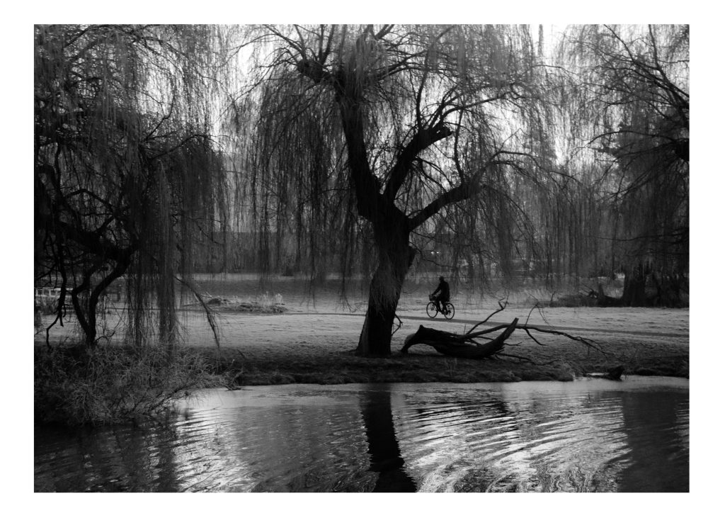 Sam Clarke - Black and white image of leafless trees on the banks of a river.