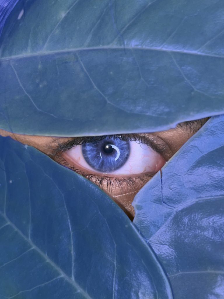 Zainab Rawat - Close-up of a person's deep blue eye framed by three large leaves.